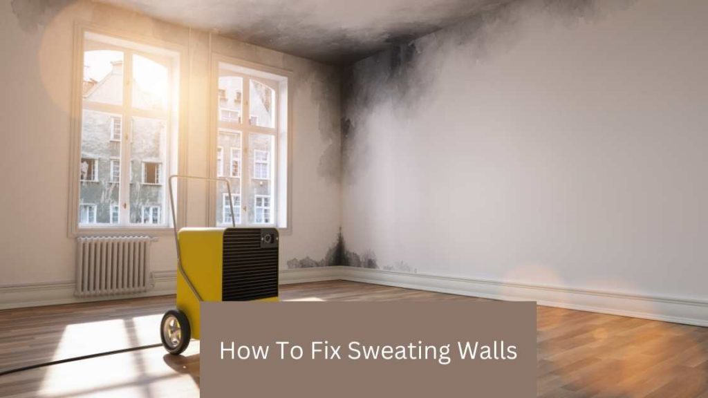 How To Fix Sweating Walls 1024x576 