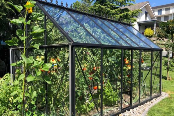 The Ultimate Guide to Heating Greenhouse: Tips and Techniques
