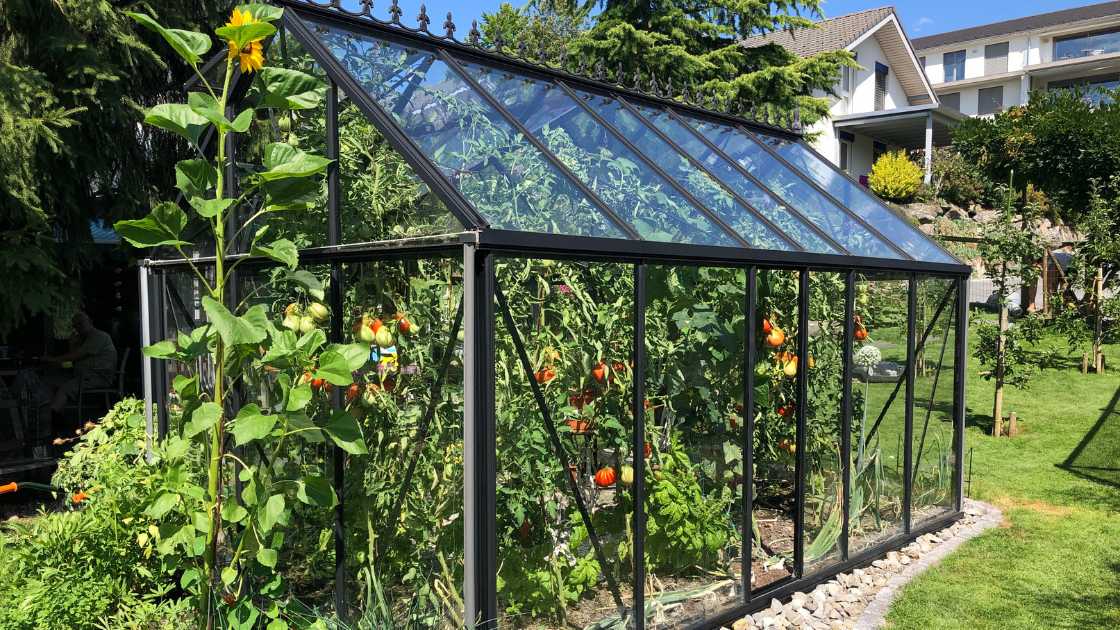 The Ultimate Guide to Heating Greenhouse: Tips and Techniques